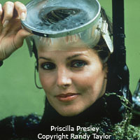 Celebrity portrait of Priscilla Presley Photo copyright Randy Taylor